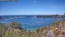 ./images/calvert/foggy-cove/20260504/foggy-cove20260504_141501M.jpg