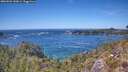 ./images/calvert/foggy-cove/20260504/foggy-cove20260504_142001M.jpg