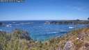 ./images/calvert/foggy-cove/20260504/foggy-cove20260504_142501M.jpg