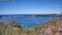 ./images/calvert/foggy-cove/20260504/foggy-cove20260504_143002M.jpg