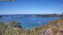 ./images/calvert/foggy-cove/20260504/foggy-cove20260504_143501M.jpg
