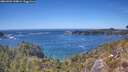 ./images/calvert/foggy-cove/20260504/foggy-cove20260504_144001M.jpg