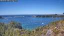 ./images/calvert/foggy-cove/20260504/foggy-cove20260504_145001M.jpg