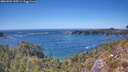 ./images/calvert/foggy-cove/20260504/foggy-cove20260504_145501M.jpg