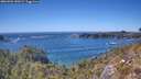 ./images/calvert/foggy-cove/20260504/foggy-cove20260504_150502M.jpg