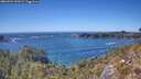 ./images/calvert/foggy-cove/20260504/foggy-cove20260504_151002M.jpg