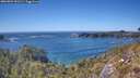 ./images/calvert/foggy-cove/20260504/foggy-cove20260504_151501M.jpg