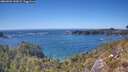./images/calvert/foggy-cove/20260504/foggy-cove20260504_152001M.jpg