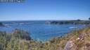 ./images/calvert/foggy-cove/20260504/foggy-cove20260504_153001M.jpg