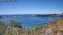 ./images/calvert/foggy-cove/20260504/foggy-cove20260504_154002M.jpg