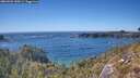 ./images/calvert/foggy-cove/20260504/foggy-cove20260504_155001M.jpg