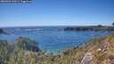 ./images/calvert/foggy-cove/20260504/foggy-cove20260504_160501M.jpg