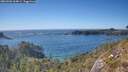 ./images/calvert/foggy-cove/20260504/foggy-cove20260504_164001M.jpg