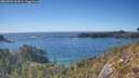 ./images/calvert/foggy-cove/20260504/foggy-cove20260504_164501M.jpg