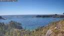 ./images/calvert/foggy-cove/20260504/foggy-cove20260504_165001M.jpg