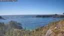 ./images/calvert/foggy-cove/20260504/foggy-cove20260504_165501M.jpg