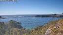 ./images/calvert/foggy-cove/20260504/foggy-cove20260504_170501M.jpg