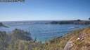 ./images/calvert/foggy-cove/20260504/foggy-cove20260504_171001M.jpg