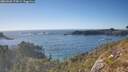 ./images/calvert/foggy-cove/20260504/foggy-cove20260504_174501M.jpg