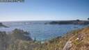 ./images/calvert/foggy-cove/20260504/foggy-cove20260504_175002M.jpg