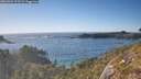 ./images/calvert/foggy-cove/20260504/foggy-cove20260504_175501M.jpg