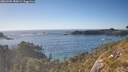 ./images/calvert/foggy-cove/20260504/foggy-cove20260504_180001M.jpg