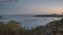 ./images/calvert/foggy-cove/20260505/foggy-cove20260505_053001M.jpg