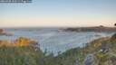 ./images/calvert/foggy-cove/20260505/foggy-cove20260505_063501M.jpg