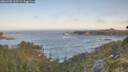 ./images/calvert/foggy-cove/20260505/foggy-cove20260505_065501M.jpg