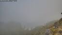 ./images/calvert/foggy-cove/20260505/foggy-cove20260505_074002M.jpg