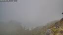 ./images/calvert/foggy-cove/20260505/foggy-cove20260505_074501M.jpg