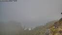 ./images/calvert/foggy-cove/20260505/foggy-cove20260505_075001M.jpg
