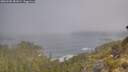 ./images/calvert/foggy-cove/20260505/foggy-cove20260505_081001M.jpg
