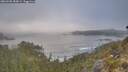 ./images/calvert/foggy-cove/20260505/foggy-cove20260505_082001M.jpg
