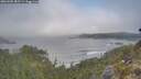 ./images/calvert/foggy-cove/20260505/foggy-cove20260505_082501M.jpg