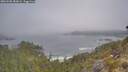 ./images/calvert/foggy-cove/20260505/foggy-cove20260505_083001M.jpg