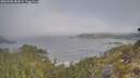 ./images/calvert/foggy-cove/20260505/foggy-cove20260505_084502M.jpg