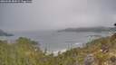 ./images/calvert/foggy-cove/20260505/foggy-cove20260505_085001M.jpg