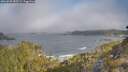 ./images/calvert/foggy-cove/20260505/foggy-cove20260505_085501M.jpg
