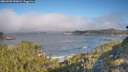 ./images/calvert/foggy-cove/20260505/foggy-cove20260505_090002M.jpg
