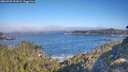 ./images/calvert/foggy-cove/20260505/foggy-cove20260505_091001M.jpg
