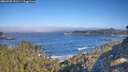 ./images/calvert/foggy-cove/20260505/foggy-cove20260505_091501M.jpg