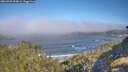 ./images/calvert/foggy-cove/20260505/foggy-cove20260505_094001M.jpg