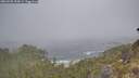 ./images/calvert/foggy-cove/20260505/foggy-cove20260505_095001M.jpg