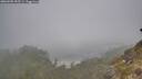 ./images/calvert/foggy-cove/20260505/foggy-cove20260505_095501M.jpg