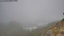 ./images/calvert/foggy-cove/20260505/foggy-cove20260505_100501M.jpg