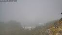 ./images/calvert/foggy-cove/20260505/foggy-cove20260505_101001M.jpg