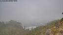 ./images/calvert/foggy-cove/20260505/foggy-cove20260505_101501M.jpg