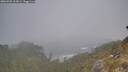 ./images/calvert/foggy-cove/20260505/foggy-cove20260505_102001M.jpg