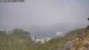 ./images/calvert/foggy-cove/20260505/foggy-cove20260505_102501M.jpg